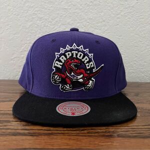 Mitchell & Ness 2 Tone Classic HWC Toronto Raptors Snapback Hat